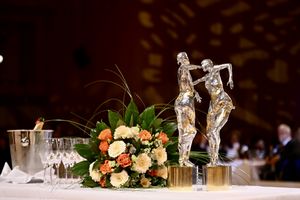 Rauschende Ballnacht und tolle Leistungen