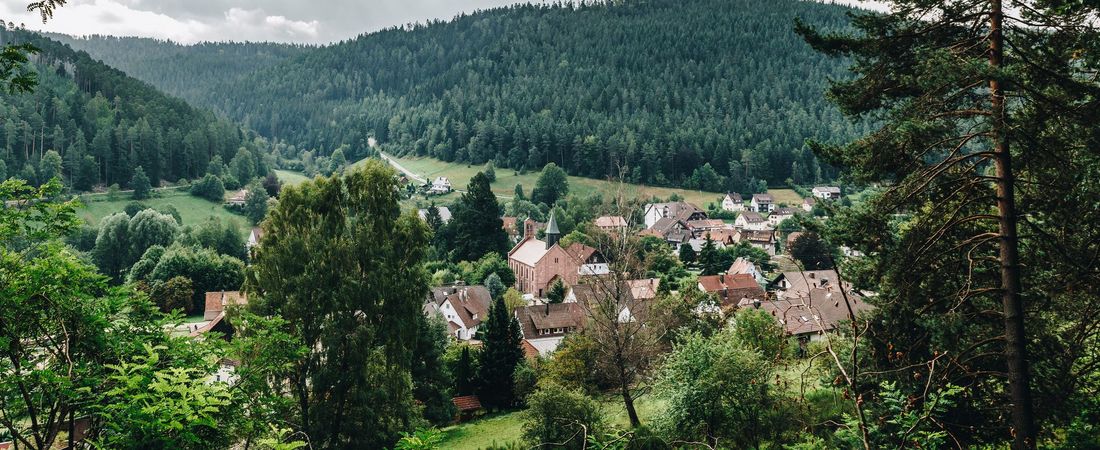 Tage voller Inhalte